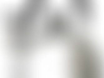 Mr. Coffee Carterton Stainless Steel Whistling Tea Kettle, 1.5-Quart, Mirror Polish