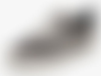 Vans Men's Sneaker Filmore Trainers