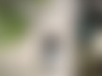 Ring Battery Doorbell | Home or business security with Head-to-Toe Video, Live View with Two-Way Talk, and Motion Detection & Alerts (newest model), Satin Nickel