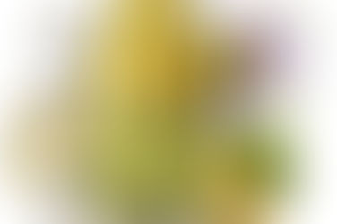 NATURA - Ekos Maracujá Triple Phase Shower Oil - Calming In-Shower or Bath Oil - Scented - Skin Moisturizer - Vegan Skin Care - Brazilian Beauty Secrets - Self Care - 6.7 fl oz (200ml)