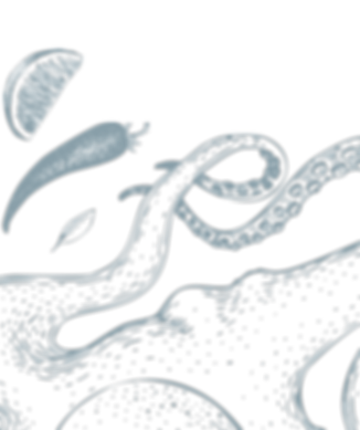 footer_bottom_img_2.png