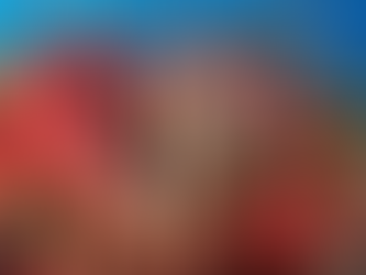 Impacts of Ocean Acidification on Coral Reef Resilience