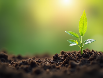 Redefining Effectiveness: How to Measure Personal Growth by God's Standards