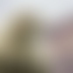 Dartmoor Judgment: “Just Cut Grazing” Is No Answer