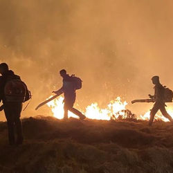 FAQs: England's Moorland Wildfire Risk