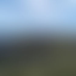 Report Summary: The Response to the Carrbridge and Dava Wildfires by Land-Based and Rural Businesses