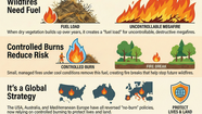 Lessons from Afar: Why the World Trusts Controlled Burning to Protect Against Wildfire
