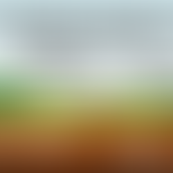 What Does the Science Say About Medicated Grit and the Environment?