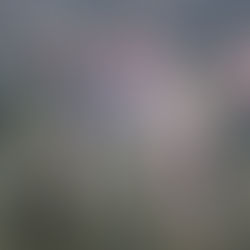 RSPB Campaign Inciting Assaults Against Gamekeepers: Our Letter to RSPB CEO