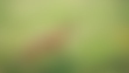 What You Read Most: The Top 10 MA Blog Posts of 2025