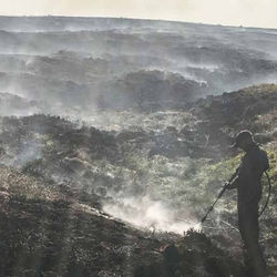 How Farmers & Landowners are Negatively Impacted by Current Moorland Management Policies