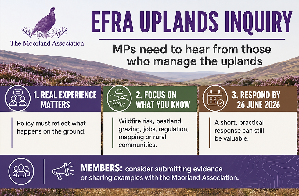 New EFRA Committee Call for Evidence on the Uplands: Why MA Members Should Consider Responding