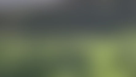 VIDEO: Grey Partridge Reintroduction on Forest of Bowland Moorland