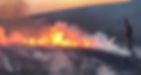 Wildfire