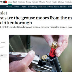 Contrary to Expectations, Grouse Moors Teem with Wildlife: Clive Aslet in The Telegraph