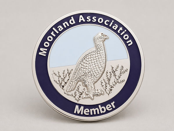 MA Badge.jpg