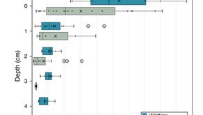 New Global Study Reveals the Reality of Soil Heating in Wildfires and Prescribed Burns