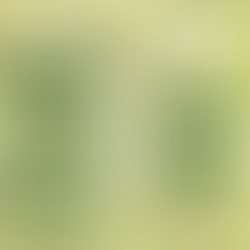 Ticks: Understanding the Rising Risks and How to Stay Safe