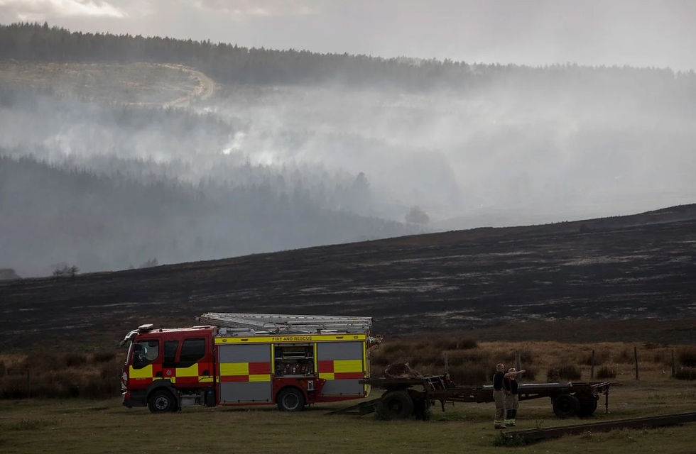 Protecting the Uplands from Wildfire: Our Letter to the Prime Minister