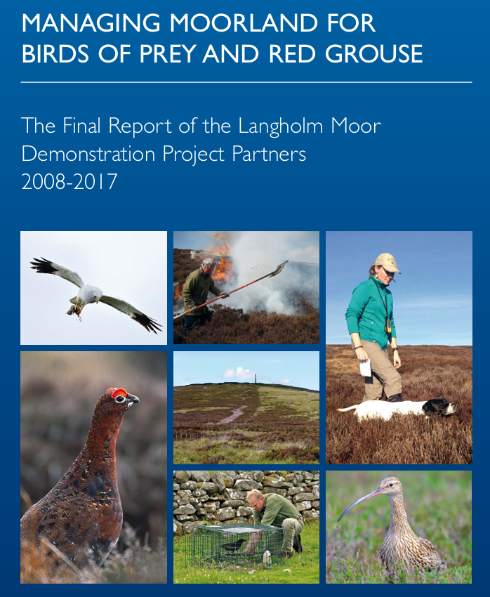 What the Langholm Moor Demonstration Project Revealed About Grouse, Raptors and Moorland Economics
