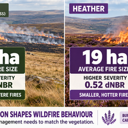Why Grass and Heather Moors Burn Differently