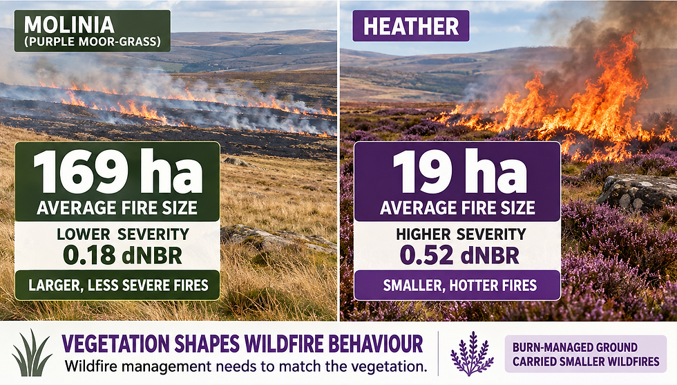 Why Grass and Heather Moors Burn Differently