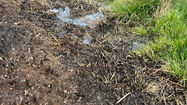 Burnt Ground, Standing Water: What Appleton Common Tells Us About Wildfire
