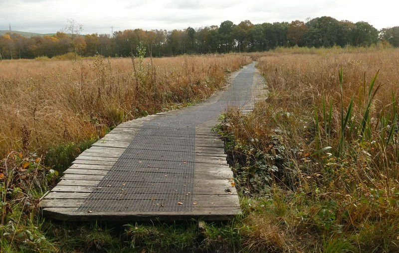 A Wake-Up Call at Danes Moss: Why Rewetting Alone Cannot Prevent Wildfires