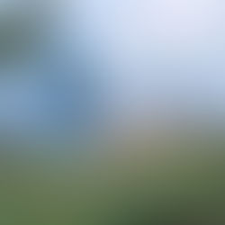 Wildfire Behaviour is Changing: Key Findings from the Dava Moor Study