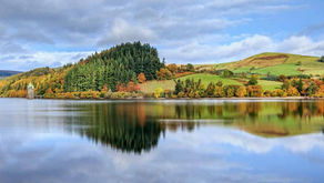 Report Summary: Conserving Birds and Nature in Wales - Land Management Regimes and Taxpayers' Money