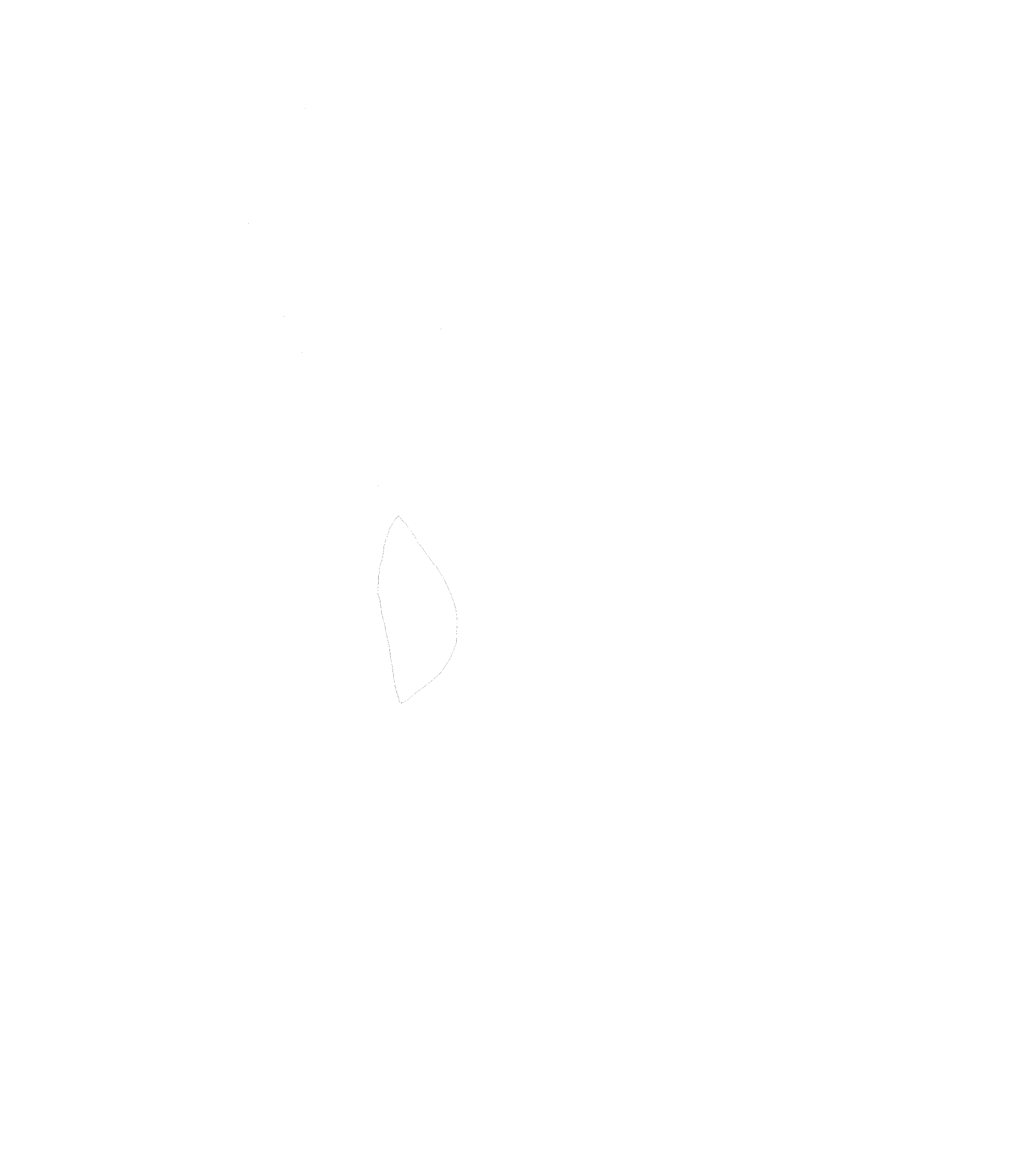 Punktzonens logo hvid.gif