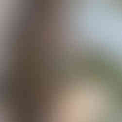 Ormbunker polska kwiaciarnia w malmo