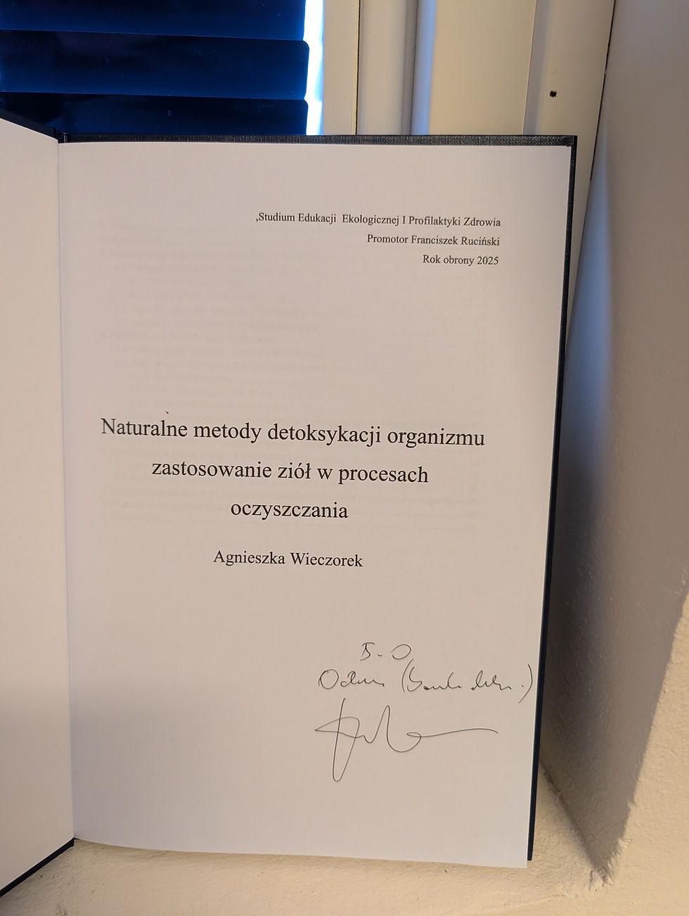 Agnieszka Wieczorek praca dyplomowa