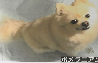 20191027.jpeg