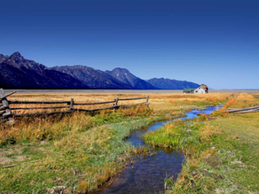 How to Lasso Your First Job in the Cowboy/Ranching Industry: Insider Tips for Landing the Perfect Gig!