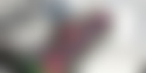 Programs used for CNC Software