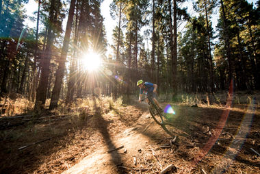 A Lifestyle photo of a man riding a mountain bike in a pine forest
For Getty Images
