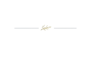 Generated image 1 (19).png