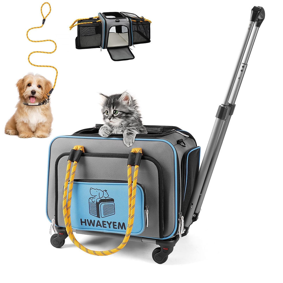 Airline Approved Cat Dog Carrier with Wheels Pet Travel Carrier Crate for Small