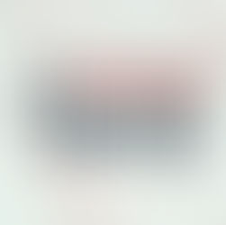 NPR Interview - Watching America with Dr Alan Campbell