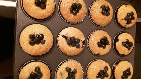 Blueberry Muffin