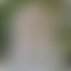 Ήξερες ότι τα κορεατικά κάποτε διαβάζονταν σαν τα ιαπωνικά;