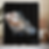 Thumbnail: M.O.R. Iguana Shower curtain