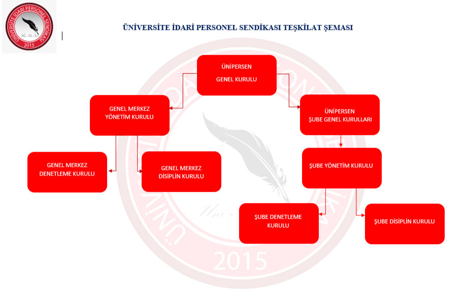 Ekran görüntüsü 2024-10-14 135318_edited.jpg