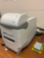 RT PCR
