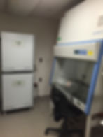 Tissue Culture Facilities