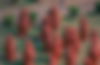 Screen.png