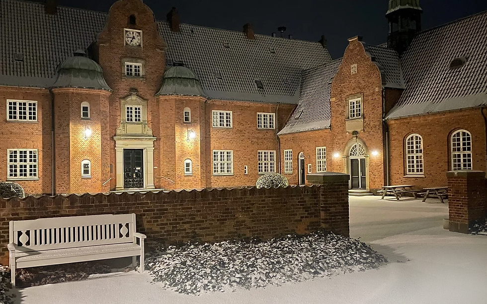 Anneberg_Kunstnerfloejen_Vinter.png