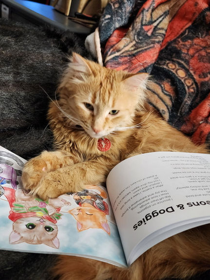 Orange kitty (Weasley) reading up on D&D to become the best DM in the world