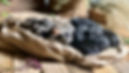 619AEB00-20EB-4A15-BE02-08152FC6C017_1_105_c.jpeg